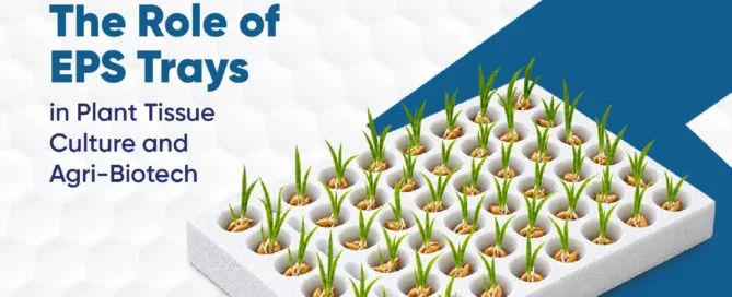 Role of EPS Trays