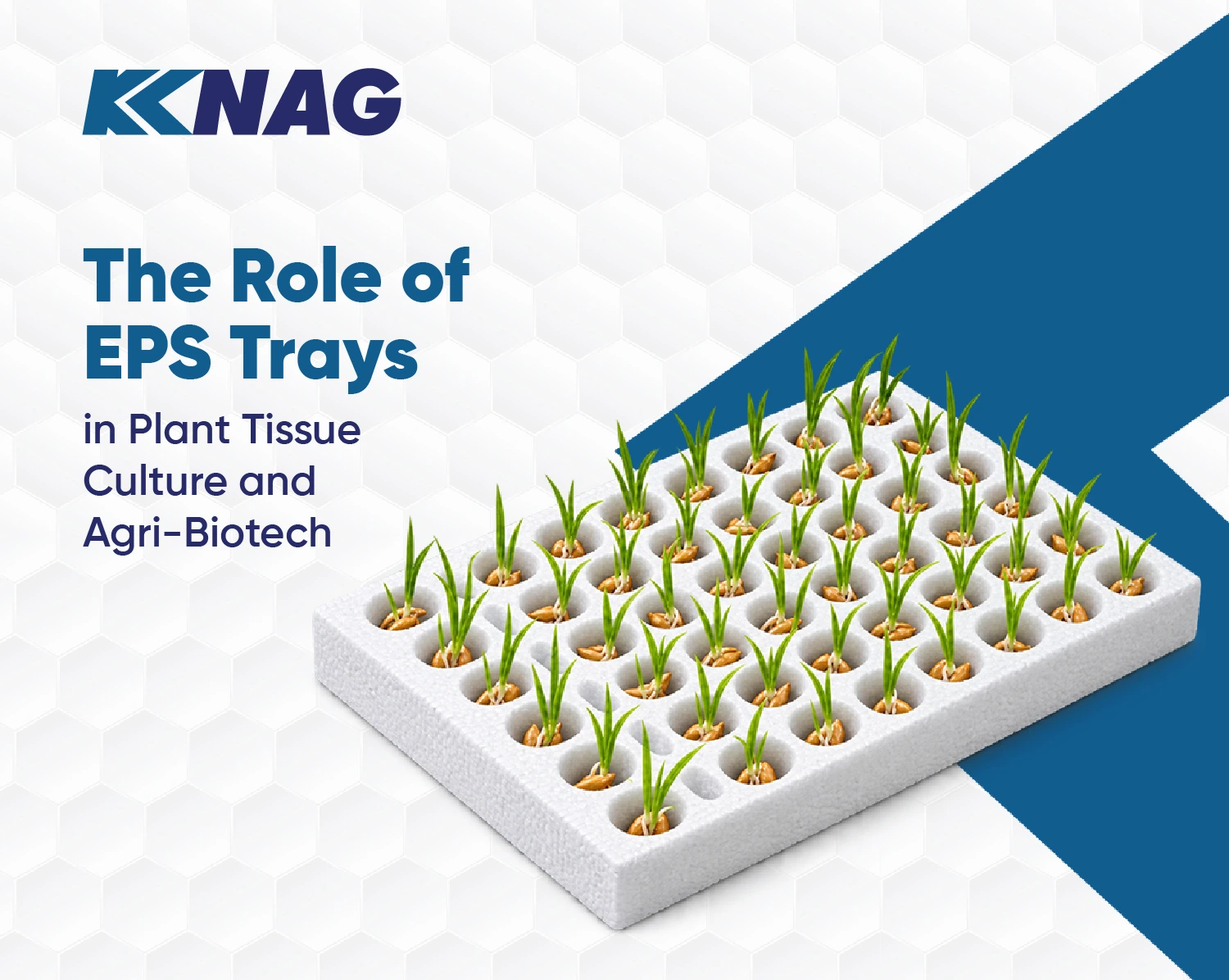 Role of EPS Trays